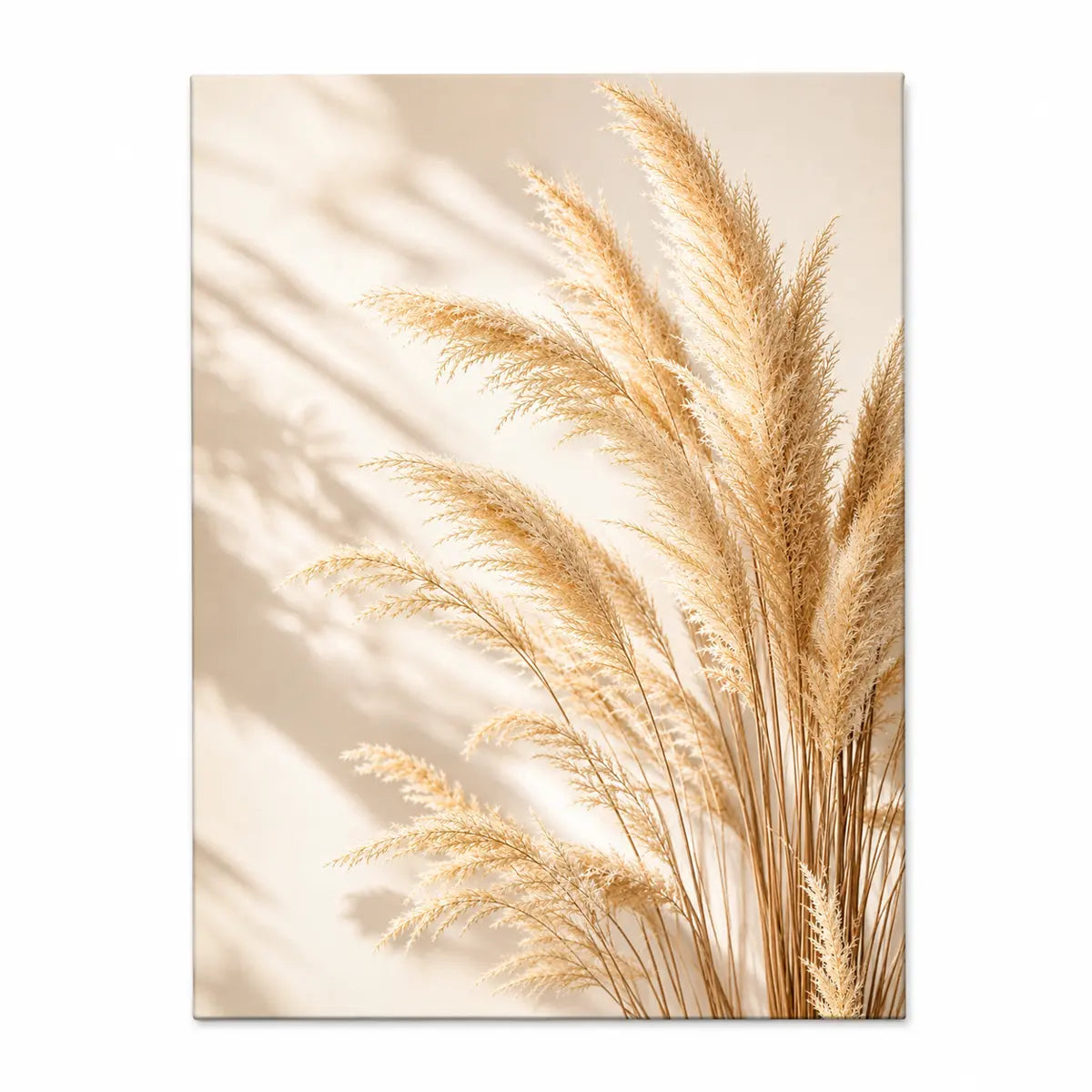 Elevate your decor with this personalized neutral pampas grass canvas wall art featuring beige dried florals and natural shadow play. Free shipping!